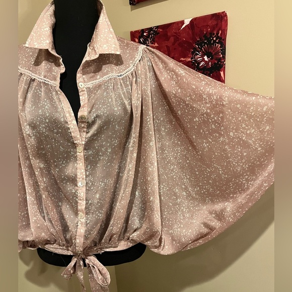 Lumiere Champagne button down Butterfly Sheer Blouse  with Tie waist, size L - Picture 4 of 5